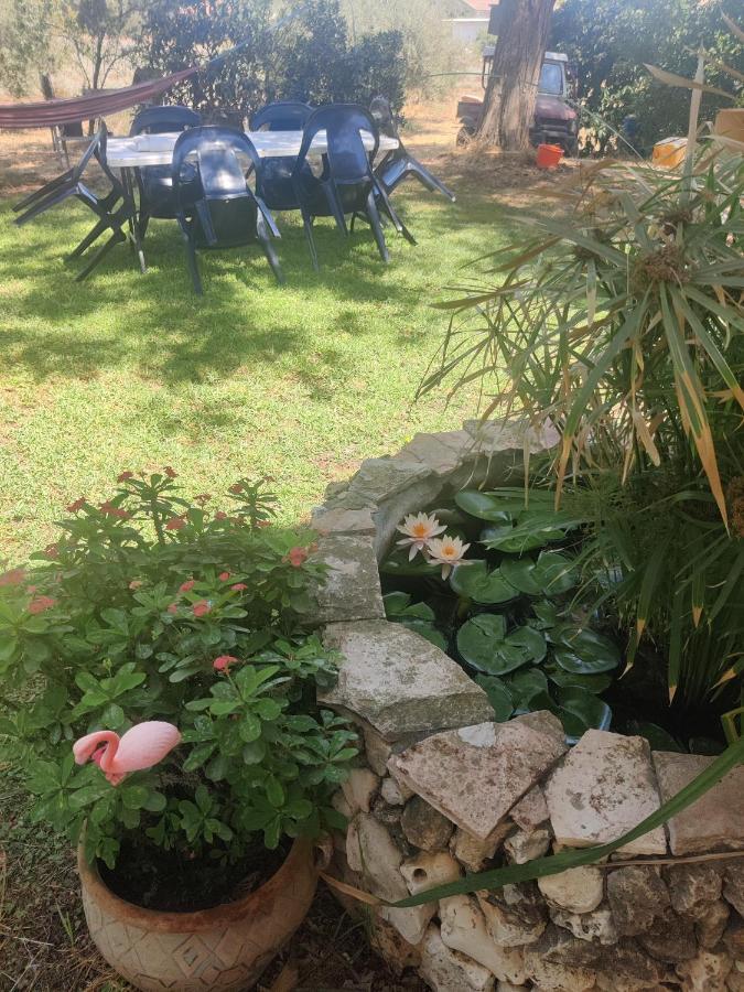 Chez Rothman Sublet Apartment Shadmot Devora ภายนอก รูปภาพ